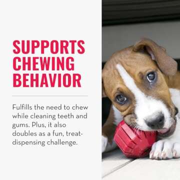 KONG Stuff-A-Ball - Durable Chew Toy for Dogs - Natural Rubber Dog Toy for Dental Health - Pet Toy f...