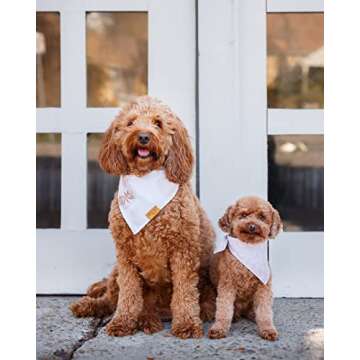 Remy+Roo Large Spring Dog Bandanas - 4 Pack Shannon Set | Premium Durable Adjustable Polyester Fabri...