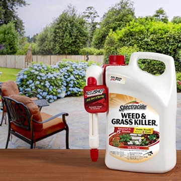 Spectracide Weed and Grass Killer for Effective Weed Control