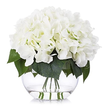 ENOVA Home Cream Hydrangea Flower Arrangement in Clear Glass Vase with Faux Water for Home Office (C...