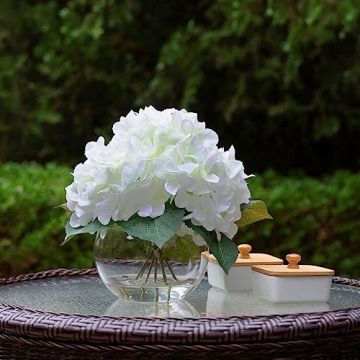 ENOVA Home Cream Hydrangea Flower Arrangement in Clear Glass Vase with Faux Water for Home Office (Cream)