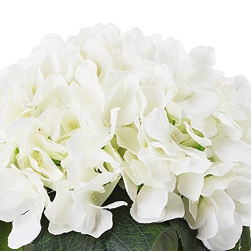 ENOVA Home Cream Hydrangea Flower Arrangement in Clear Glass Vase with Faux Water for Home Office (Cream)