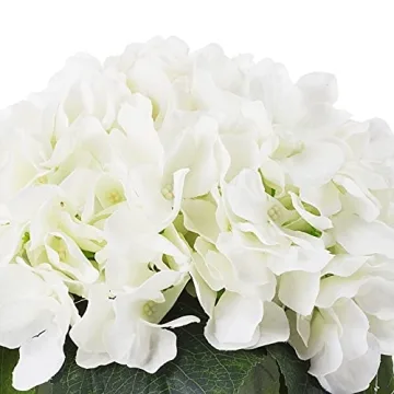 ENOVA Home Cream Hydrangea Flower Arrangement in Clear Glass Vase with Faux Water for Home Office (Cream)