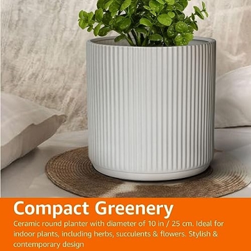 Amazon Basics Ceramic Planter - Stylish 10-Inch White Pot
