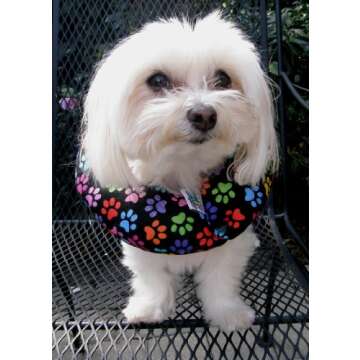 Puppy Bumpers Rainbow Paw Safety Collar - Keep Your Dog Secure (10-13")