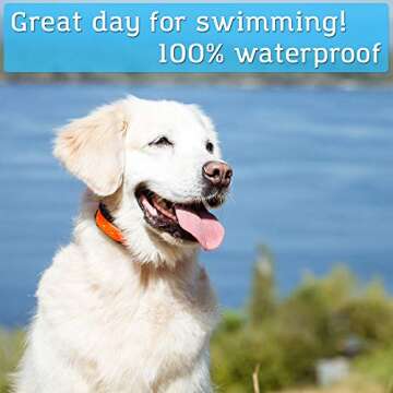 PetSpy M919 Dog Training Shock Collar for Large Dogs