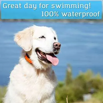 PetSpy M919 Dog Training Shock Collar for Large Dogs