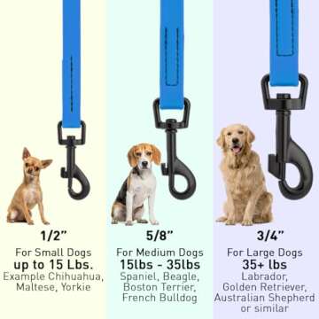 Dogline Biothane Waterproof Dog Leash 2/4/6 Ft Strong Coated Nylon Webbing with Black Hardware Odor-Proof Easy to Clean High Performance for Small or Large Dogs Made in USA, Cerulean Blue