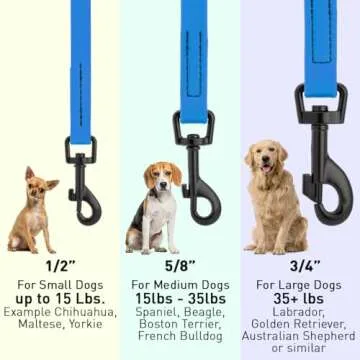 Dogline Biothane Waterproof Dog Leash 2/4/6 Ft Strong Coated Nylon Webbing with Black Hardware Odor-Proof Easy to Clean High Performance for Small or Large Dogs Made in USA, Cerulean Blue