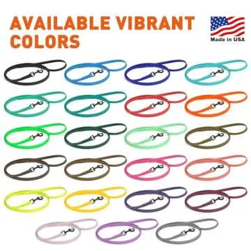 Dogline Biothane Waterproof Dog Leash 2/4/6 Ft Strong Coated Nylon Webbing with Black Hardware Odor-Proof Easy to Clean High Performance for Small or Large Dogs Made in USA, Cerulean Blue