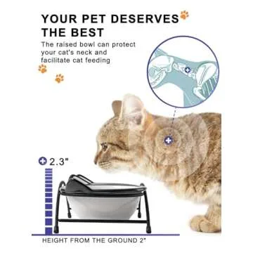 Y YHY Cat Food Bowls, 12 oz Raised Cat Bowls for Food and Water,Ceramic Elevated Pet Dishes Bowls with Stand, Cats and Small Dogs, Dishwasher Safe