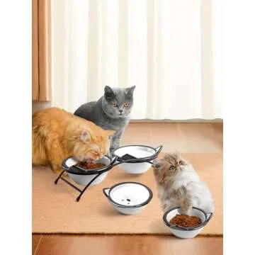 Y YHY Cat Food Bowls, 12 oz Raised Cat Bowls for Food and Water,Ceramic Elevated Pet Dishes Bowls with Stand, Cats and Small Dogs, Dishwasher Safe