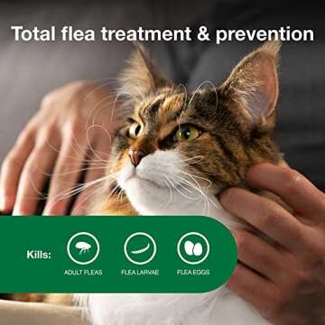 Advantage II Large Cat Vet-Recommended Flea Treatment & Prevention | Cats Over 9 lbs. | 2-Month Supply