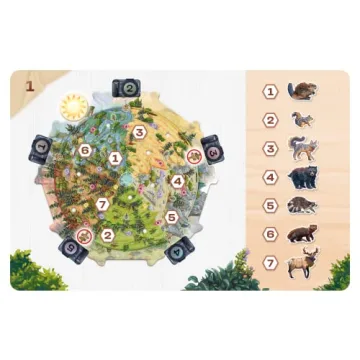 Sit Down Games Redwood | Wildlife Photography Strategy Game