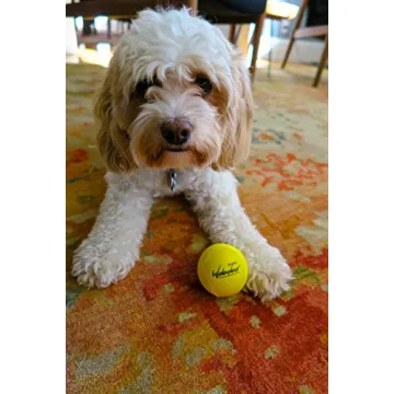 Waboba Fetch Water Ball for Dogs that Love Water Play