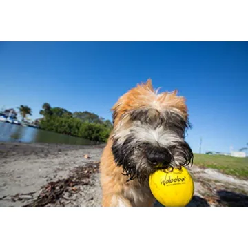 Waboba Fetch Water Ball for Dogs that Love Water Play