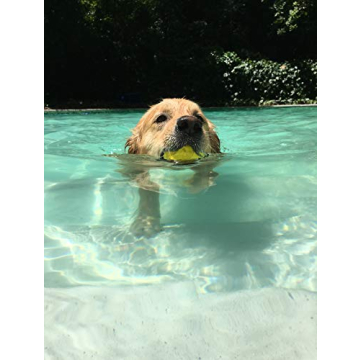 Waboba Fetch Water Ball for Dogs that Love Water Play