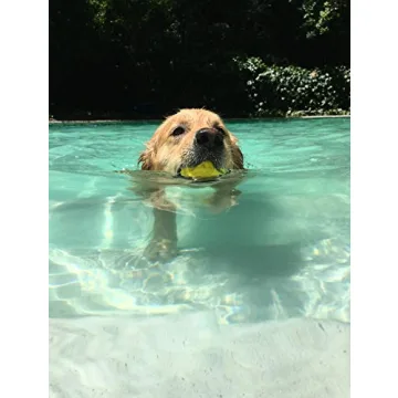 Waboba Fetch Water Ball for Dogs that Love Water Play