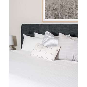 Modern Decorative Throw Pillow Covers Set of 3