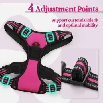 rabbitgoo Dog Harness No Pull with 2 Leash Clips, Adjustable Soft Padded, Reflective Oxford No Choke Pet Vest with Easy Control Handle for Large Dogs, Hot Pink, S