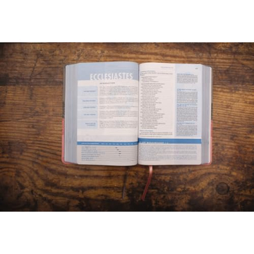 NIV Quest Study Bible - The Ultimate Q&A Experience