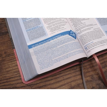 NIV Quest Study Bible - The Ultimate Q&A Experience