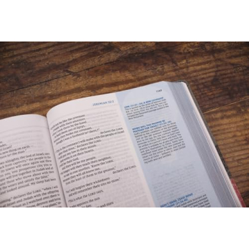NIV Quest Study Bible - The Ultimate Q&A Experience