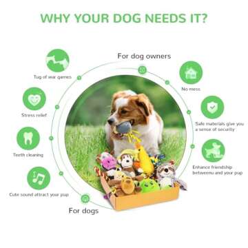 LEGEND SANDY Dog Squeaky Toys for Small Dogs, 12 Pack Puppy Toys for Teething, Cute Small Dog Toys S...