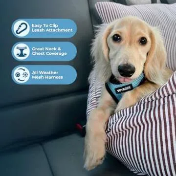 Voyager Step-In Air Dog Harness - Reflective & Comfortable
