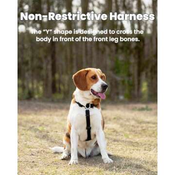 LufeLux Non-Restrictive Easy Walk Freedom No Pull Dog Harness, Keep Balance for Dogs, Neck-Buckle, Six Points Adjustment for Ultimate Fit, 2 Leash Attachments for Back and Front Clip (Purple/Black, S)