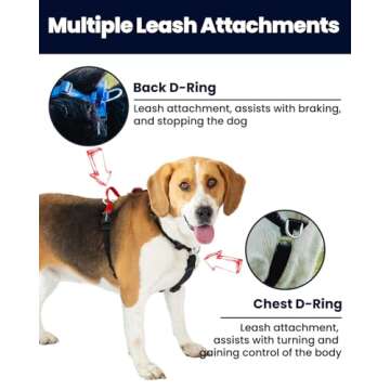 LufeLux Non-Restrictive Easy Walk Freedom No Pull Dog Harness, Keep Balance for Dogs, Neck-Buckle, Six Points Adjustment for Ultimate Fit, 2 Leash Attachments for Back and Front Clip (Purple/Black, S)