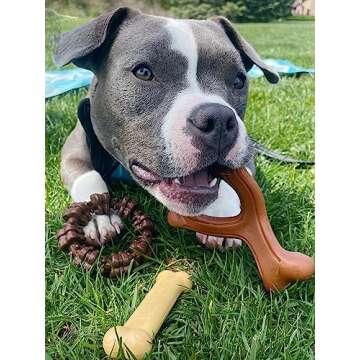 Nylabone Customer Favorites Power Chew Toy Bundle for Dogs, Indestructible Dog Toys for Aggressive C...