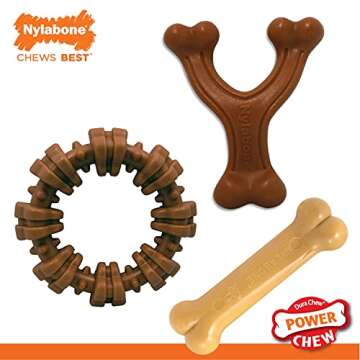 Nylabone Customer Favorites Power Chew Toy Bundle for Dogs, Indestructible Dog Toys for Aggressive Chewers, 3 Shapes and Flavors, Flavor Medley, Small - Up to 25 lbs, 3 Pack