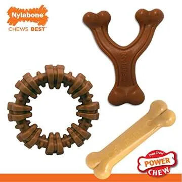 Nylabone Customer Favorites Power Chew Toy Bundle for Dogs, Indestructible Dog Toys for Aggressive Chewers, 3 Shapes and Flavors, Flavor Medley, Small - Up to 25 lbs, 3 Pack