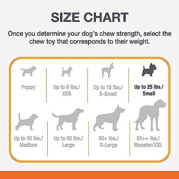 Nylabone Customer Favorites Power Chew Toy Bundle for Dogs, Indestructible Dog Toys for Aggressive Chewers, 3 Shapes and Flavors, Flavor Medley, Small - Up to 25 lbs, 3 Pack