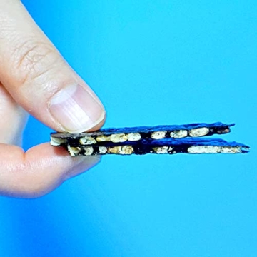 Crunchy Seaweed Chips, Whole Grain, No Additives, 8.15oz