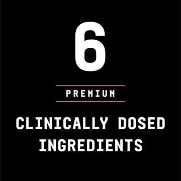 Beyond Raw LIT On The Go | Ready to Drink Cans | Contains Caffeine, L-Citrulline, Beta-Alanine, and Nitric Oxide | Gummy Worm | 12 Count