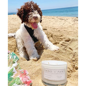 Sand + Paws Scented Candle Neutralizes Pet Odors