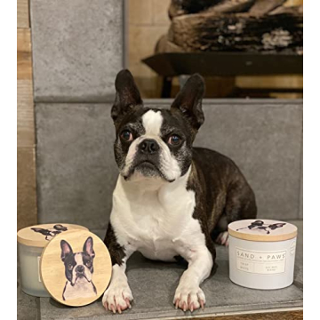 Sand + Paws Scented Candle Neutralizes Pet Odors