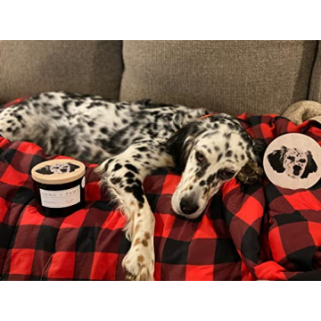 Sand + Paws Scented Candle Neutralizes Pet Odors
