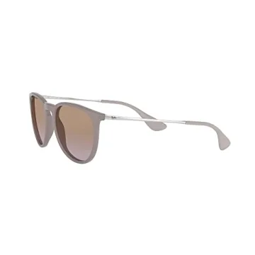 Ray-Ban RB4171 Erika Round Sunglasses For All Occasions
