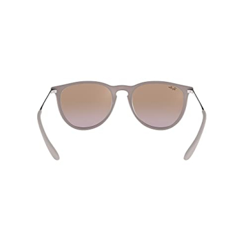 Ray-Ban RB4171 Erika Round Sunglasses For All Occasions