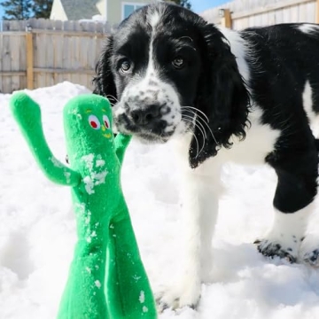 Multipet Gumby Plush Dog Toy - Fun for Dogs and Kids