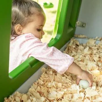 Omlet Eglu Cube Large Chicken Coop | Easy to Clean Plastic Chicken Tractor | The Most Secure Hen House for Complete Peace of Mind | Weatherproof Cool in Summer and Warm in Winter | Green