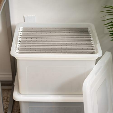 IRIS USA File Box Organizer for Letter Legal Sizes - 4 Pack