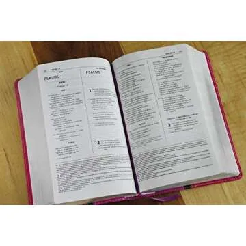 NIV, The Message, Parallel Study Bible, Leathersoft, Pink: Two Bible Versions Together with NIV Study Bible Notes