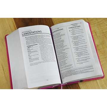 NIV, The Message, Parallel Study Bible, Leathersoft, Pink: Two Bible Versions Together with NIV Study Bible Notes