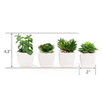 Nattol Mini Artificial Succulent Plants Potted in Square Modern Ceramic Pots, Faux Plants for Home &...