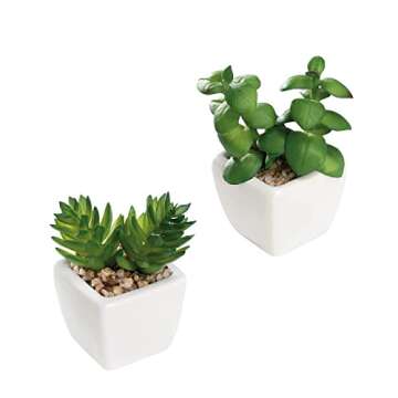 Nattol Mini Artificial Succulent Plants Potted in Square Modern Ceramic Pots, Faux Plants for Home & Office Table Decor, Bedroom Bathroom Birthday Gift, Set of 4