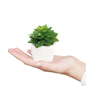 Nattol Mini Artificial Succulent Plants Potted in Square Modern Ceramic Pots, Faux Plants for Home & Office Table Decor, Bedroom Bathroom Birthday Gift, Set of 4